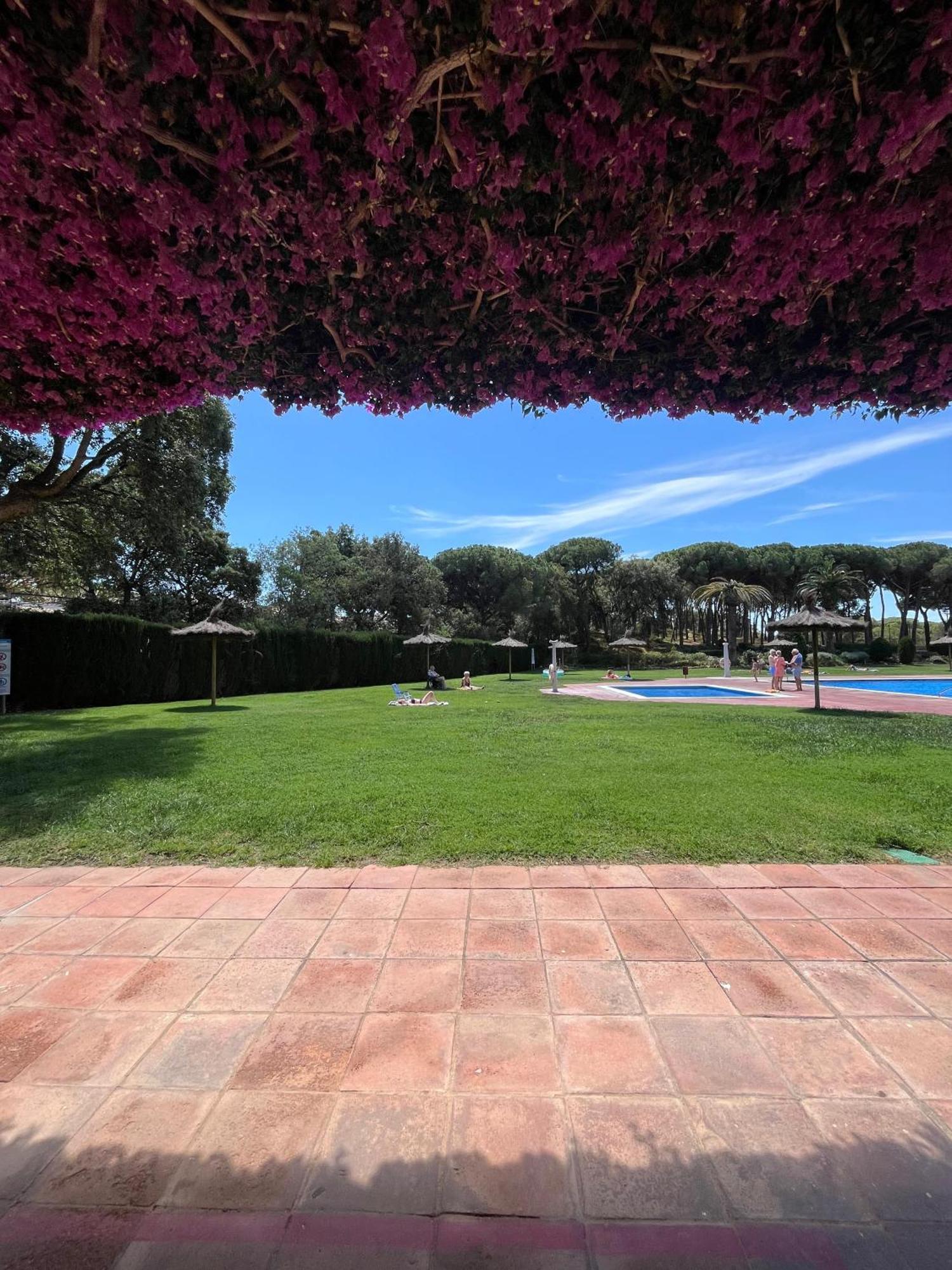 Ferienwohnung Calella De Palafrugell - Piso Reformado Con Piscina, Wifi Y Parking Gratuito Exterior foto